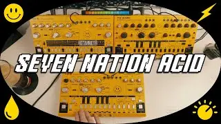 SEVEN NATION ACID | Behringer TD-3 / TD-3 MO / RD-6 Synth Jam