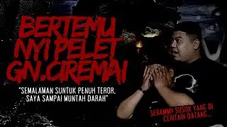 MENGERIKAN! BERTEMU NYI PELET PENGUASA GUNUNG CIREMAI, KISAH MISTIS PENDAKIAN