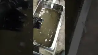 Мойка двигателя субару