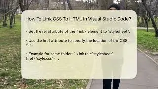 How To Link CSS To HTML In Visual Studio Code? - Next LVL Programming