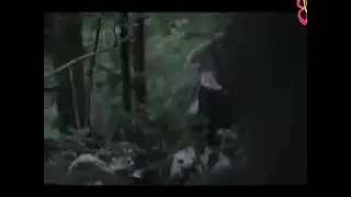 Прикол для взрослых ))) от 95