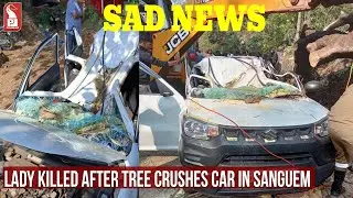 LADY KILLED AFTER TREE CRUSHES CAR IN SANGUEM