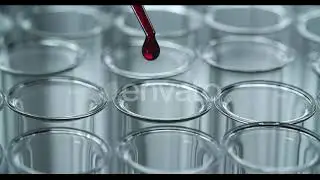 Blood Drops In A Clear Laboratory | Stock Footage - Envato elements