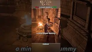 Minsc is actually playable in Act 1.5 - Baldur's Gate 3