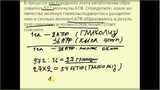 Топ сложных задач ЕГЭ. Часть С 6. Энергетический обмен. Подготовка к ЕГЭ и ОГЭ по биологии