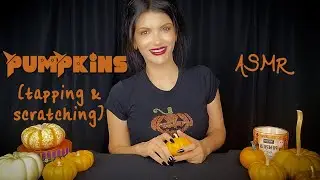 ASMR | 🎃Pumpkins 🎃Tapping🎃Scratching