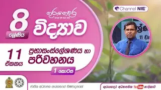 ප්‍රභාසංස්ලේෂණය  හා පරිවහනය 01 - 8 ශ්‍රේණිය (විද්‍යාව)