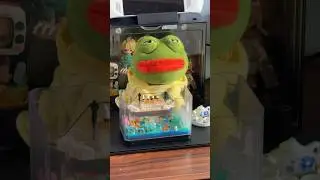 Hồ cá mới tặng anh Pe
