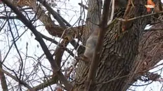 Семейные драмы. Эфир от 24.02.2015