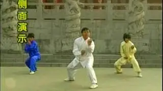 Фохань цюань учебное видео 2