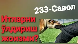 233. 
Итларни ўлдириш жоизми?(Абдуллоҳ Зуфар Ҳафизаҳуллоҳ)