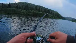 Открытие сезона! Вот это РЫБА КЛЮНУЛА!