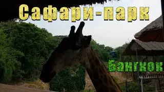 Сафари-парк/Бангкок/Таиланд/Животные в естественной среде/Шоу/Safari World Bangkok