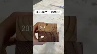 What is Old-Growth Lumber?