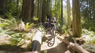 Yamaha Power Assist Bicycles - A First Look