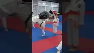 приседания+ маваши гери дзедан