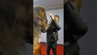 Dunyodagi eng katta va aqilli It