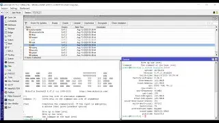 Cara Downgrade and Upgrade OS Mikrotik