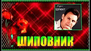 А.Шпехт  