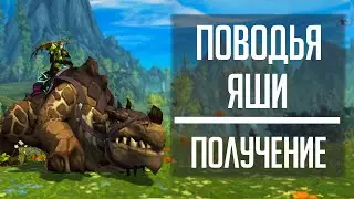 ПОВОДЬЯ ЯШИ - гайд по получению маунта в WoW: Dragonflight!