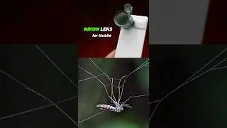 Best Nikon L330 Macro Lens for Mobile Macro Photography [2024]