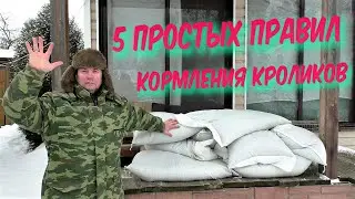 ЧЕМ И КАК КОРМЛЮ КРОЛИКОВ ПРОСТЫЕ ПРАВИЛА КОРМЛЕНИЯ КРОЛИКОВ Кролики содержание и разведение