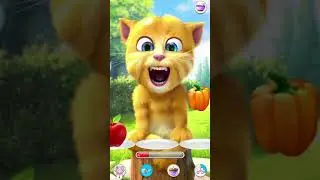 Talking Ginger 🍇🫐🍉🍋🍈🍏🍎🌶️🍓🍆🫑🌽