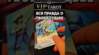 ❗Мы на ☘️ ДЗЕН  🎬 Rutube 👇 в описани #гаданиетародлямужчин #таро #психология #эзотерика