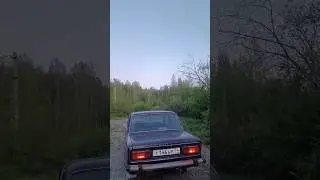 🐦🦜#ваз #лада #жигули #природа #классика #vaz #lada #vaz2106 #vaz2107 #shorts #automobile #автоваз