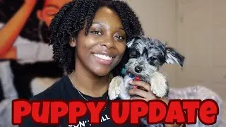 VLOGTOBER DAY 4: FIRST TIME PET OWNER TIPS + PUPPY UPDATE | Kiara La'Shea