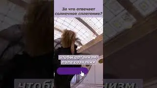 Солнечное сплетение. За что отвечает солнечное сплетение в теле человека?