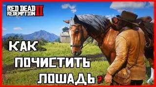 КАК ПОЧИСТИТЬ ЛОШАДЬ В RED DEAD REDEMPTION 2 \\ КАК ПОМИТЬ КОНЯ В DRD 2( РДР 2 )
