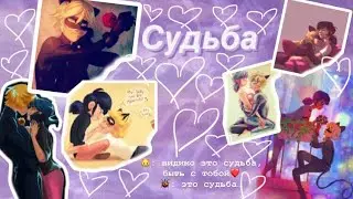 Переписка «Судьба» 3 часть по м/с «Леди Баг и Супер Кот»