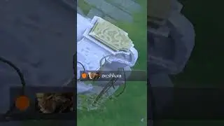 а у вас есть такая девушка в доте 2? 