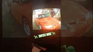 Turtle Wax 