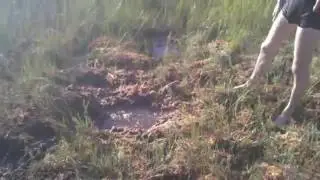 Шок!!! Найден портал в другое измерение !!!