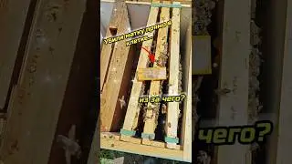 Из за чего убивают маток❓❓❓ 