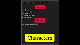 Junior Vs. Senior Python Developer 