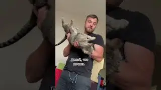 Шпрота выбрала не меня 