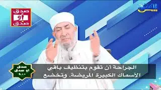 صدق أو صدق 400 | النمل الجراح لإنقاذ الحياة