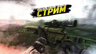 ТАРКОВ СТРИМ 