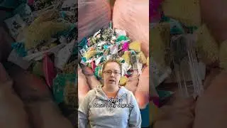 Marine life we've found plastic in 