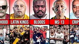Leaders of the Most Dangerous Gangs in USA