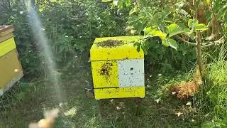 Нежданчик #2