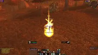 Turtle WoW - Female Human Paladin Hardcore Character Mam Reaches Level Sixty Without Dying Once
