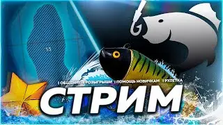 🔥С МЕСТА ⭐ ХОРОШАЯ ПОГОДА И ПЕРСПЕКТИВЫ 🎁Рулетка & Розыгрыши 🏆 СТРИМ РР4