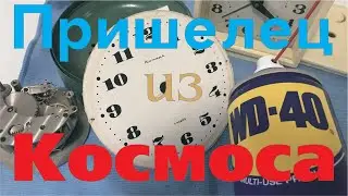 Будильник мыть или не мыть WD 40 Секреты фирмы)))