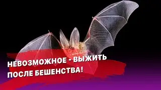 Невозможное - выжить после БЕШЕНСТВА!