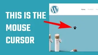 Use custom Cursor on WordPress | 2023 