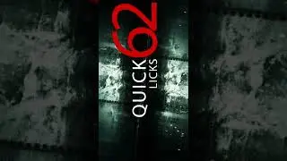 Quick licks 62  vertical